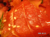 s_pict0006_thumb.png